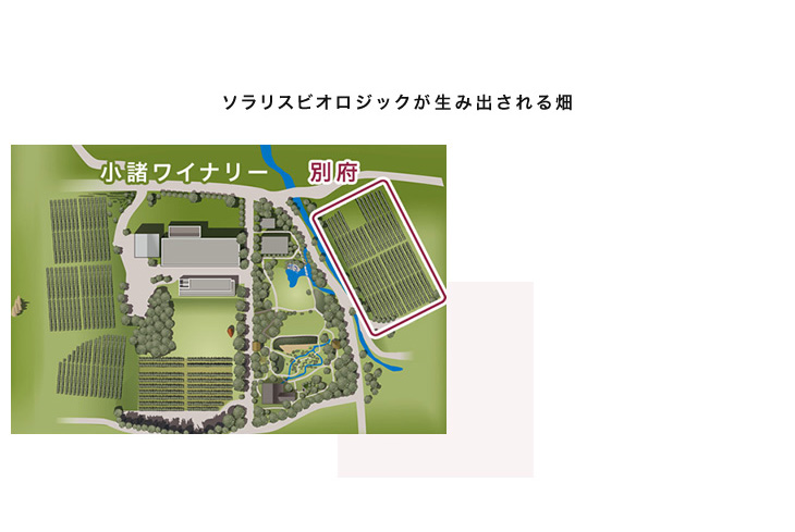 ソラリスビオロジックが生み出される畑