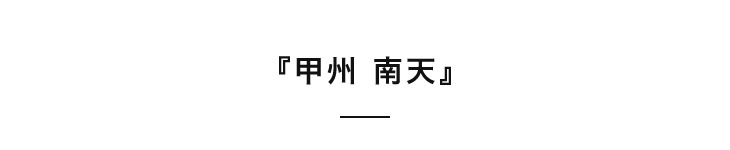 甲州南天2018