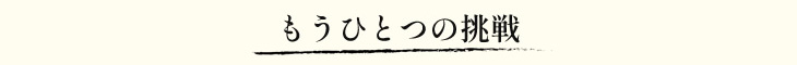 もうひとつの挑戦