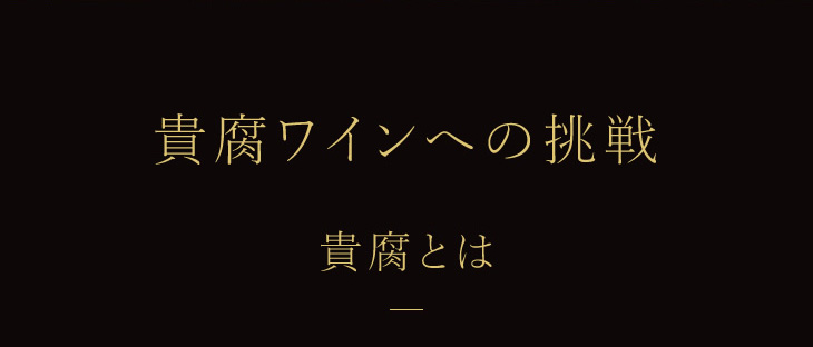 貴腐とは