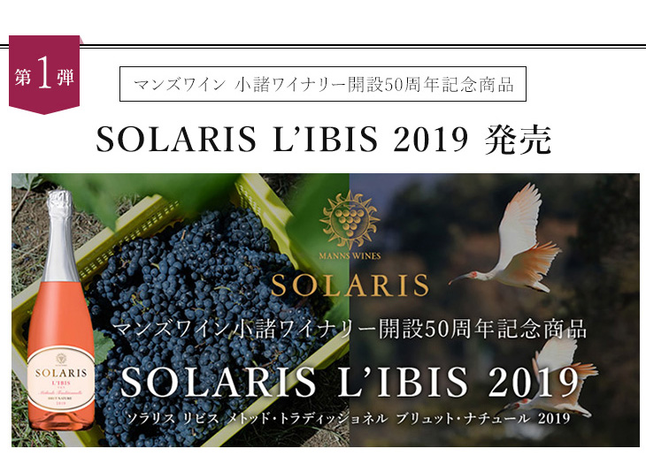 SOLARIS L'ibis 2019発売