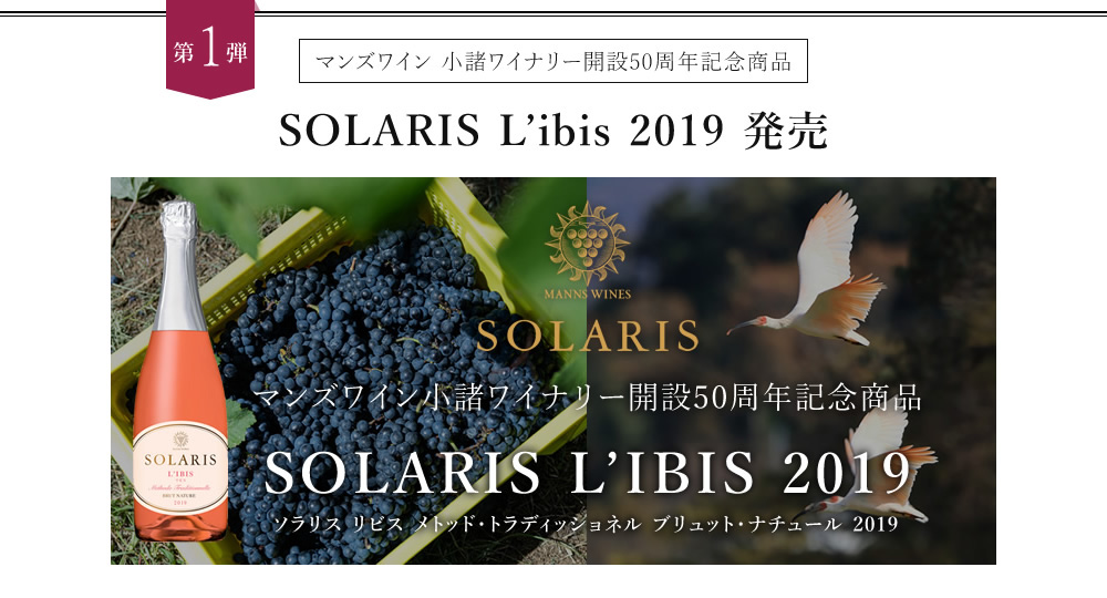 SOLARIS L'ibis 2019発売