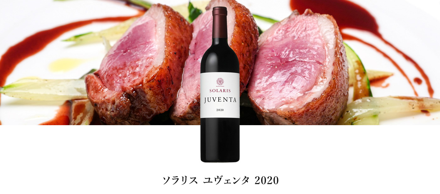 ソラリス ユヴェンタ 2020
