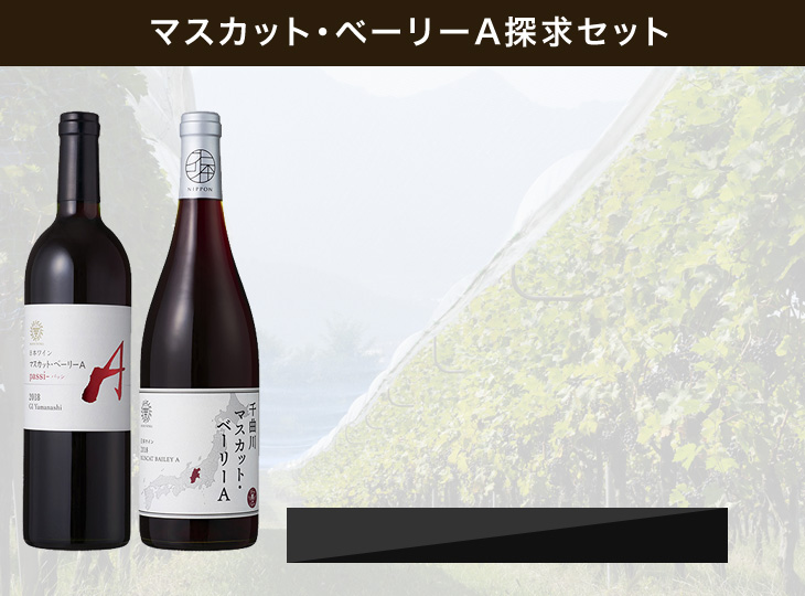 MBA探求セット