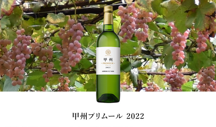 新酒・限定ワイン