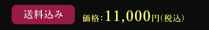送料込み