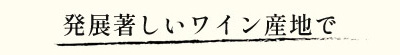 発展著しいワイン産地で