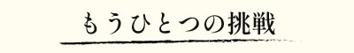もうひとつの挑戦