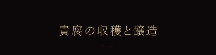 貴腐の収穫と醸造