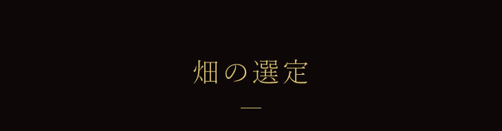 畑の選定