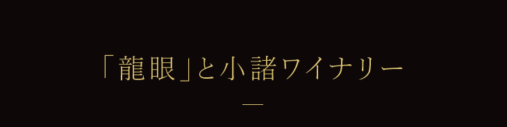 「龍眼」と小諸ワイナリー