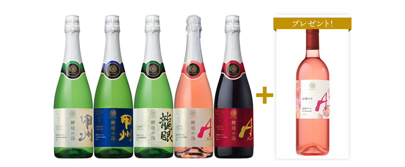 スパークリングワイン酵母の泡 飲み比べ定番5本セット