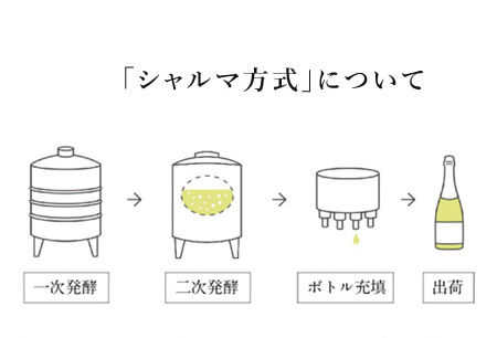 「シャルマ方式」について