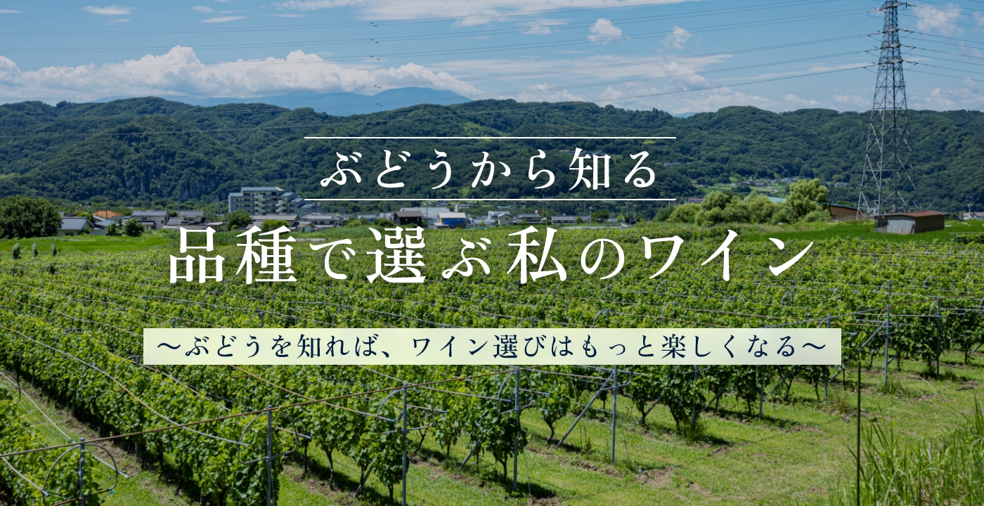 まずはここから！ぶどう品種からワインを選ぶ