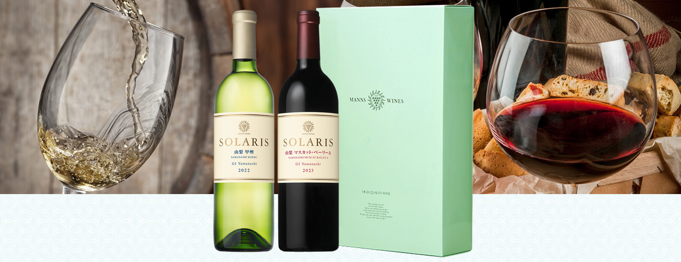 山梨のソラリスセット