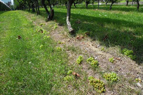 image02