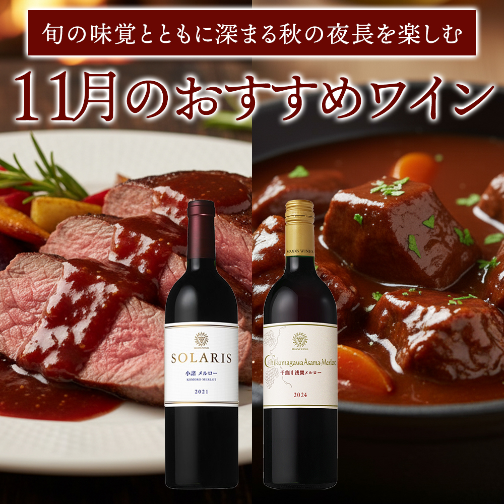 11月おすすめワイン
