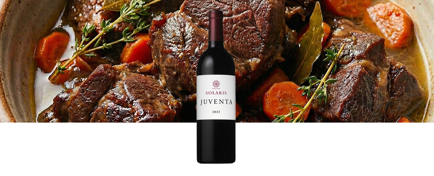 ソラリス ユヴェンタ 2023