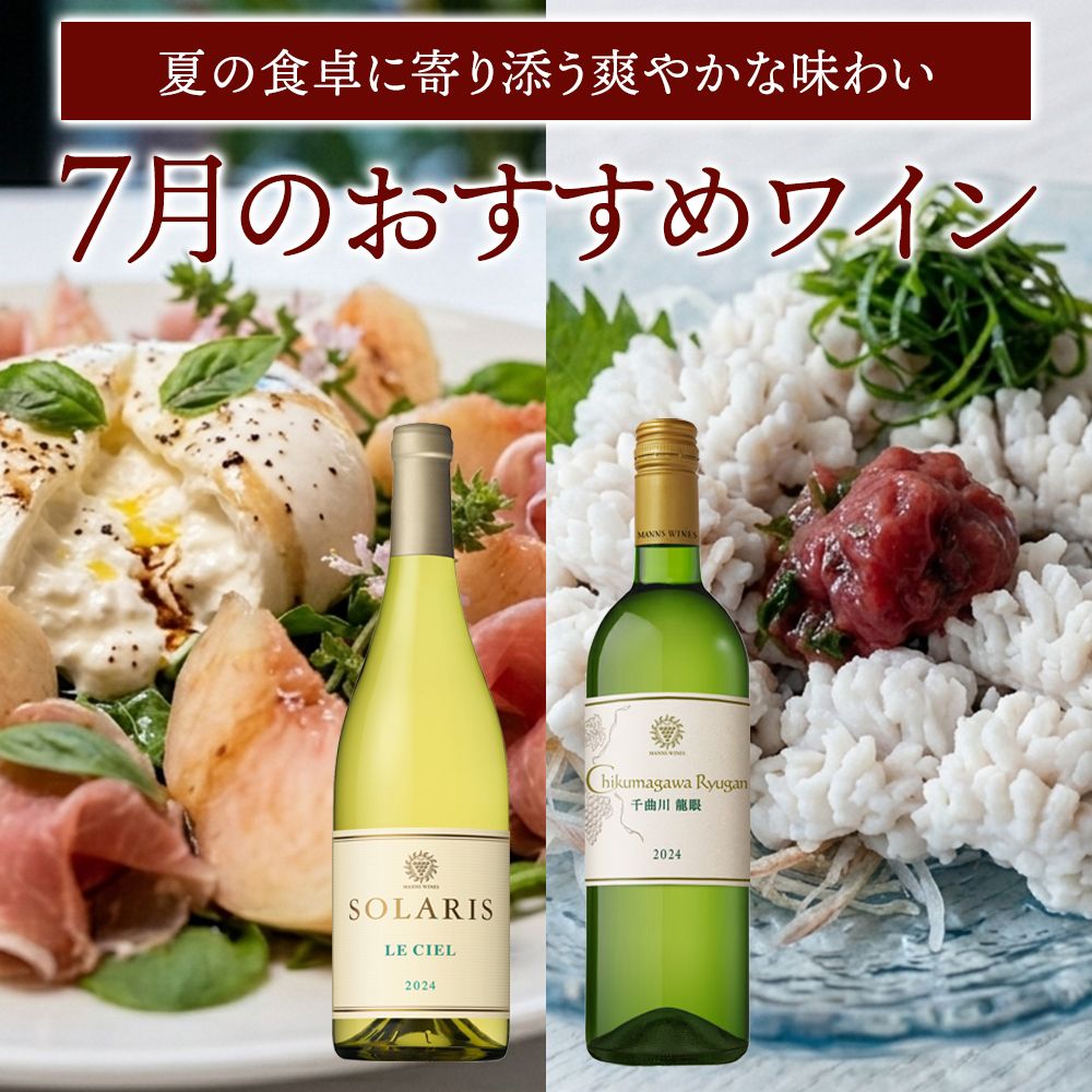 7月おすすめワイン