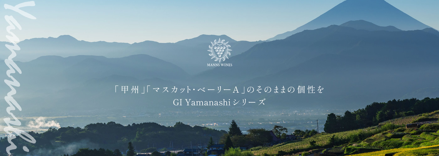 GI Yamanashiシリーズ