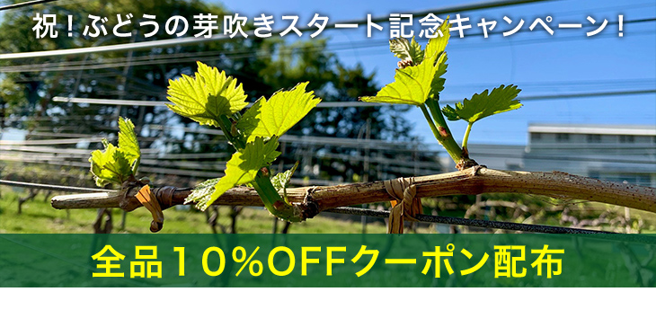商品リニューアルキャンペーン・全品10%OFFクーポン配布
