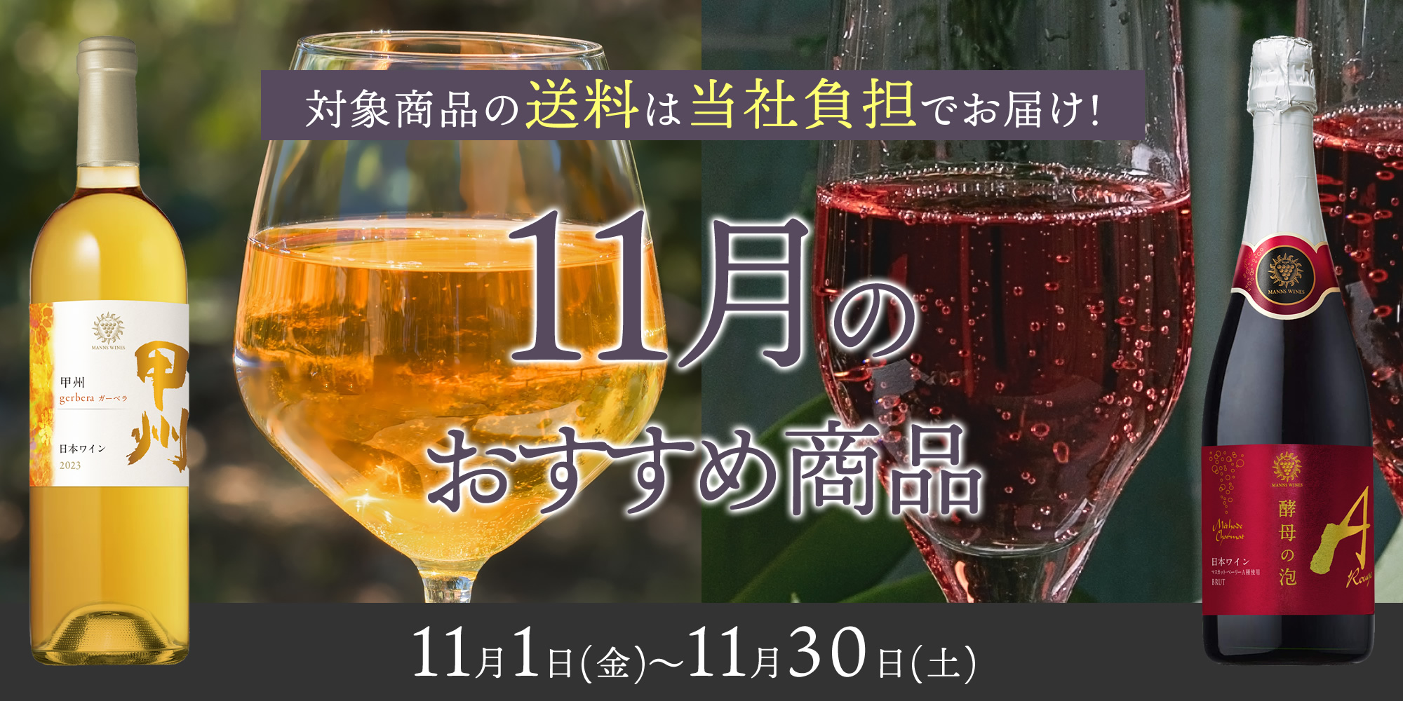 11月おすすめ