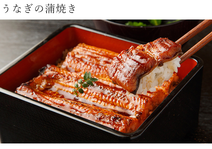 うなぎの蒲焼