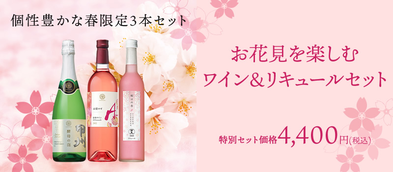 花見セット