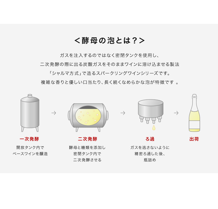 酵母の泡とは?