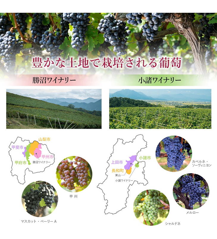 豊かな土地で栽培される葡萄